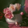 still life in oil